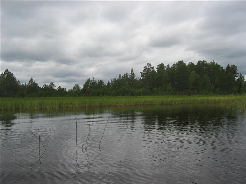 Sweden 2006-07 121